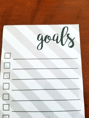 Goals Checklist